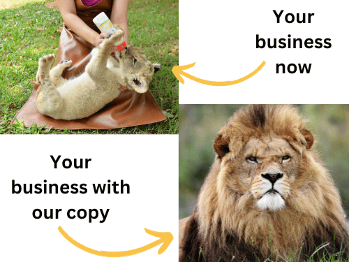 Lion cub next to fully grown adult male, representing a small and big business.